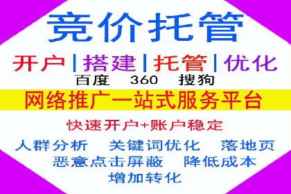 XX行业竞价广告的投放策略与效果分析